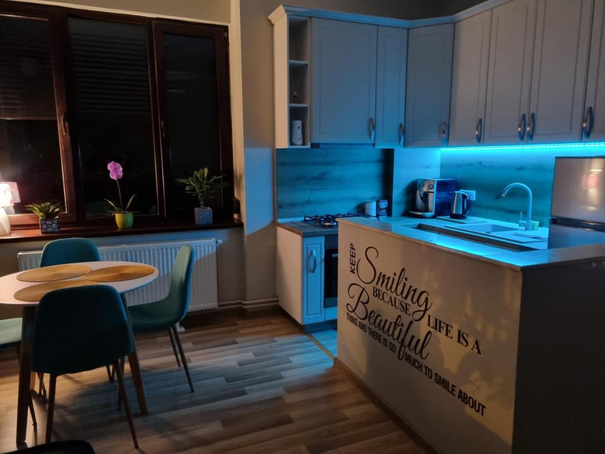 City Inn Premium Apartment Temeşvar Dış mekan fotoğraf